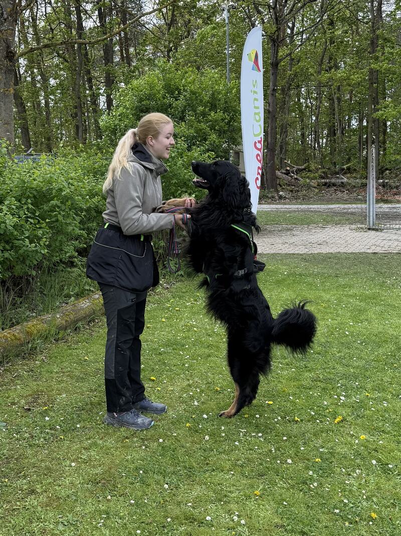 Josephine Henz steht auf einer Wiese und begrüßt ihren schwarzen Hund Dexter, der sich an ihr aufrichtet